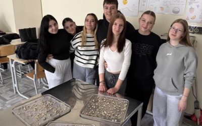 Snaga ruku, volje i znanja: ekosljez 