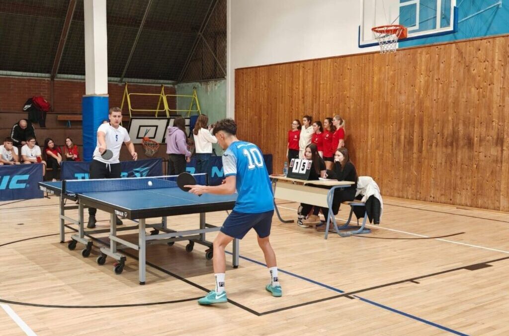 Županijsko natjecanje u stolnom tenisu